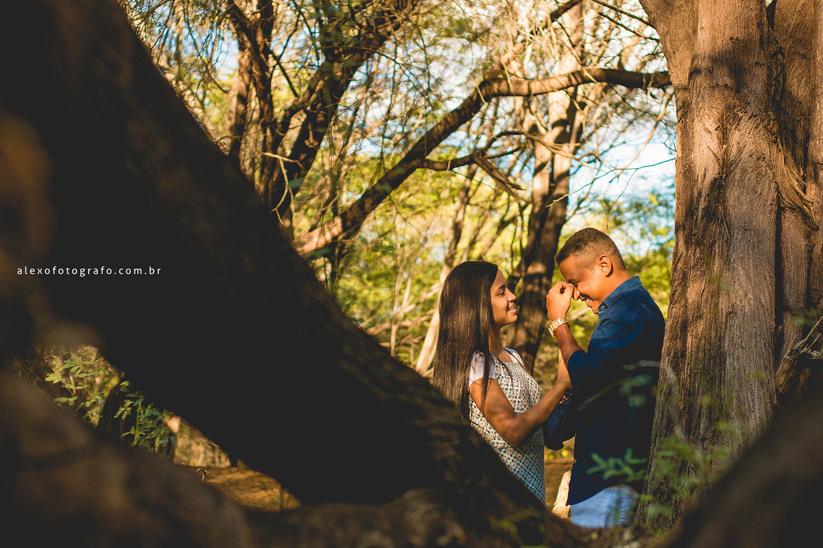noivo rindo com a noiva encostado na árvore, na paisagem verde da ilha