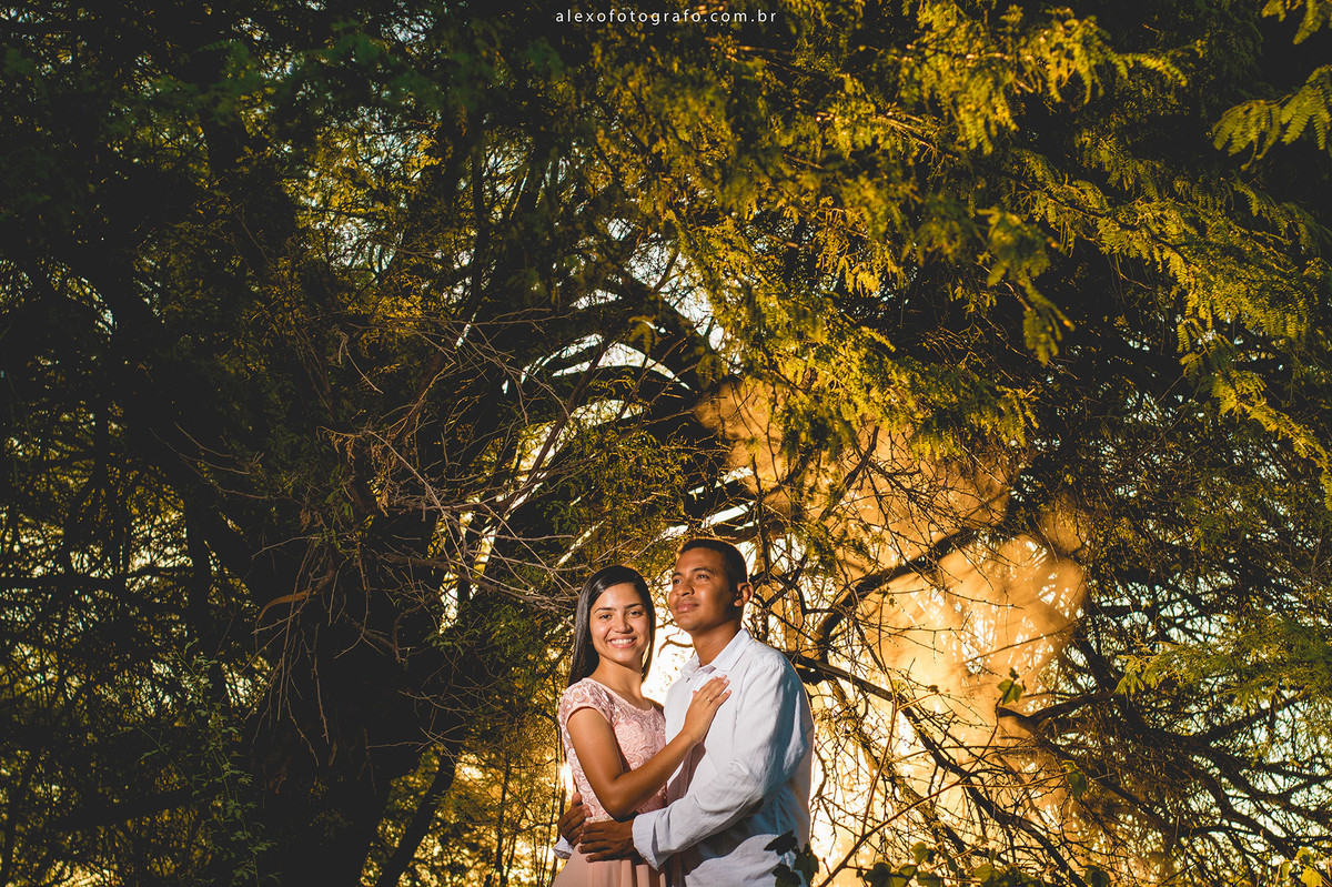 noivos debaixo da árvore posando pra foto na paisagem verde da ilha. nevoeiro sobressaindo na luz por trás do casal