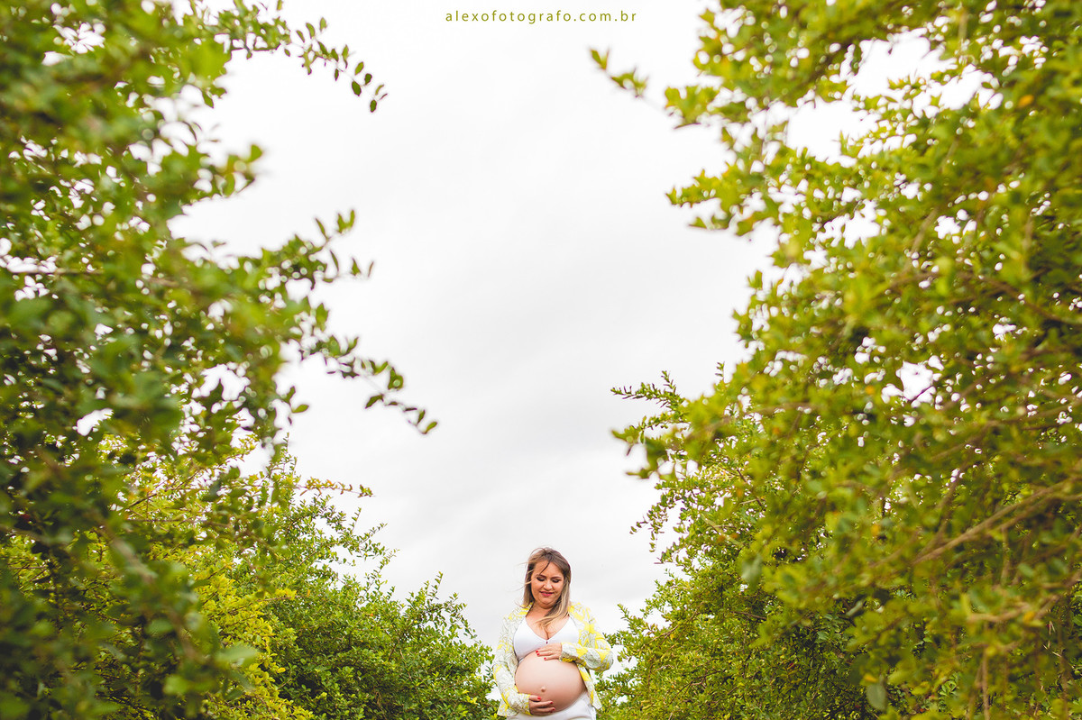 gestante no meio da plantação de acerolas na paisagem do campo lindo ensaio externo de grávida