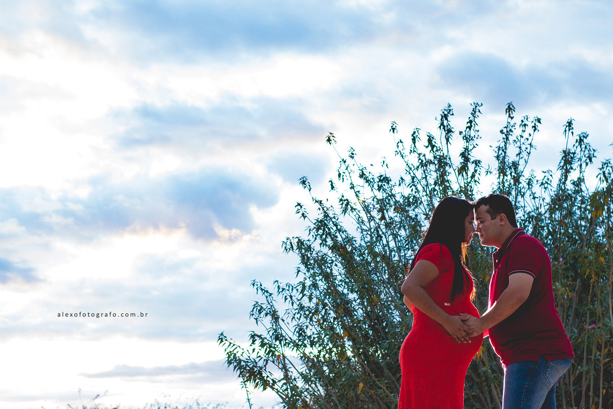 ensaio de gestante, casal tocando os narizes e com as mãos na barriga em frente ao arbusto e o céu ao fundo.