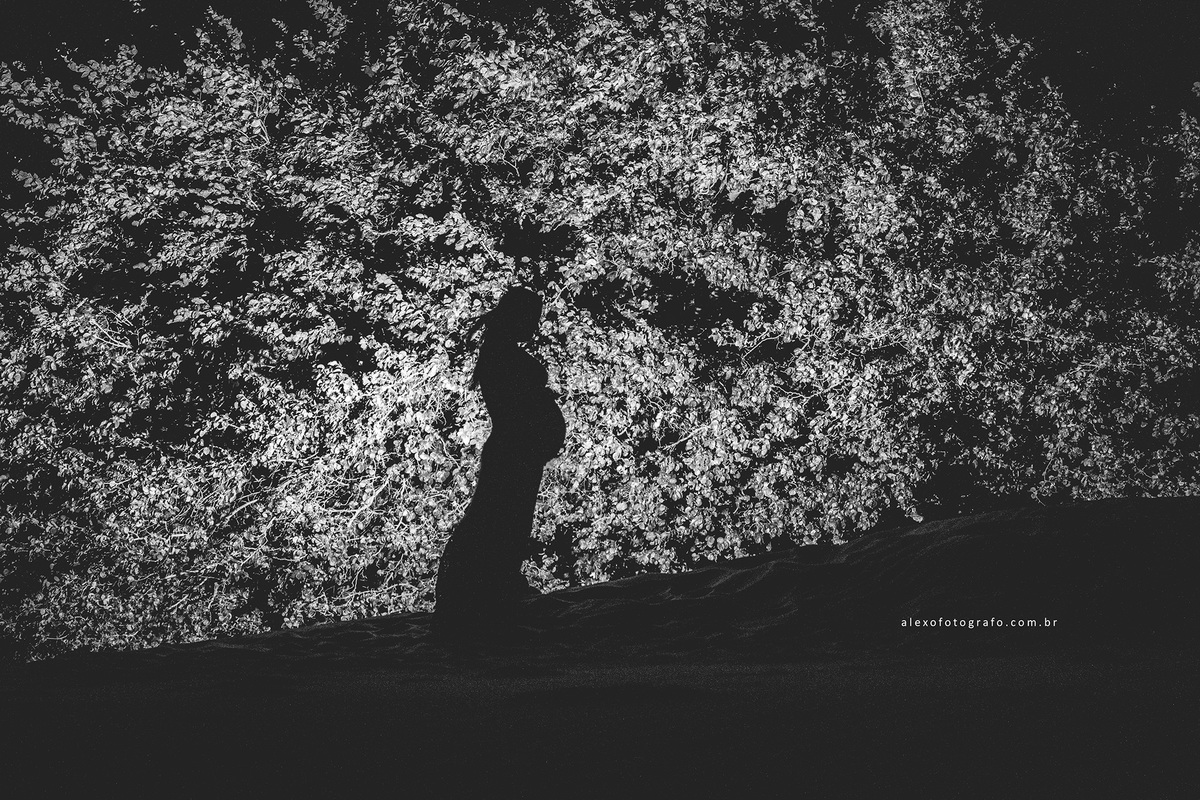 silhueta da gestante segurando a barriga, foto preto e branco e com uma folhagem no fundo
