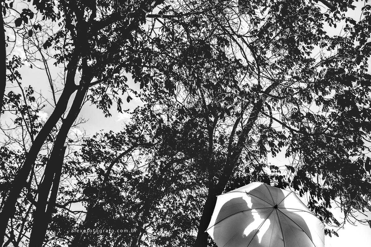 foto preto e branco, árvores ao fundo e uma sombrinha com a silhueta do casal se olhando