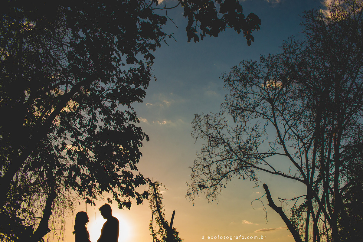 silhueta ao pôr do sol com árvores e o casal no ponto do sol numa brecha das silhuetas das árvores