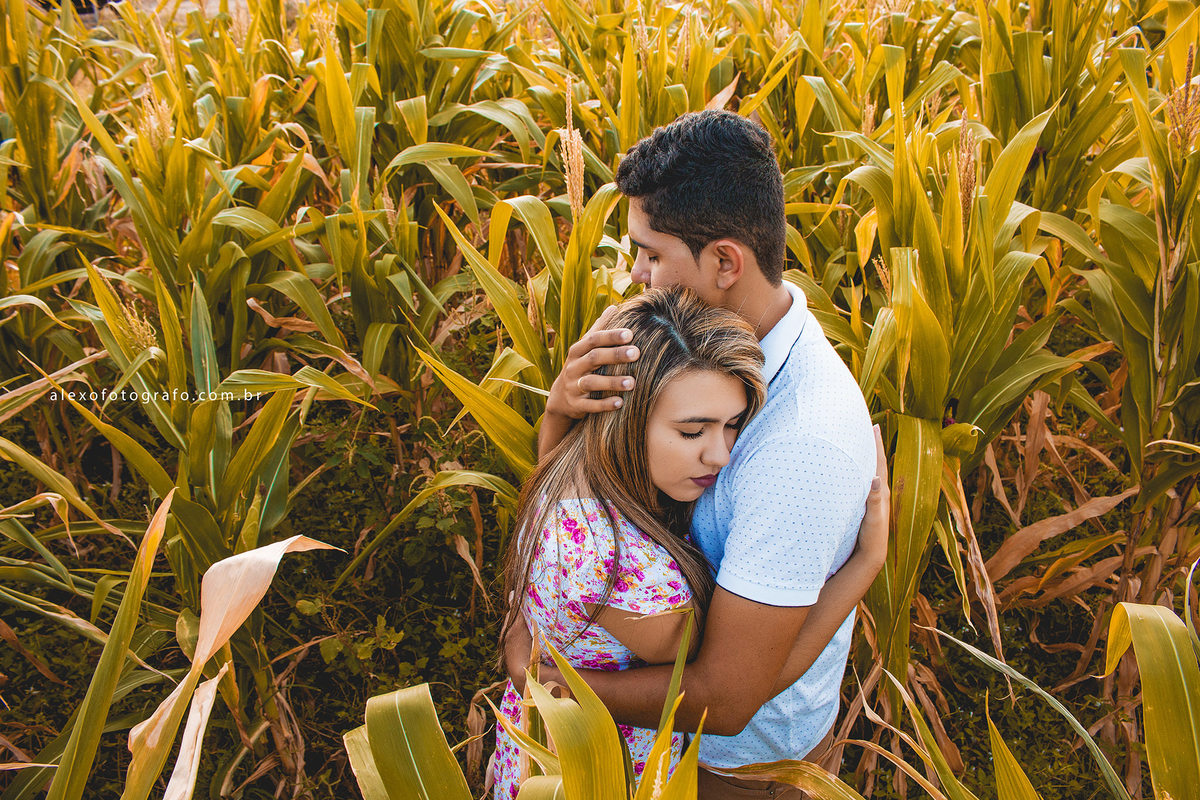 casal abraçado no milharal