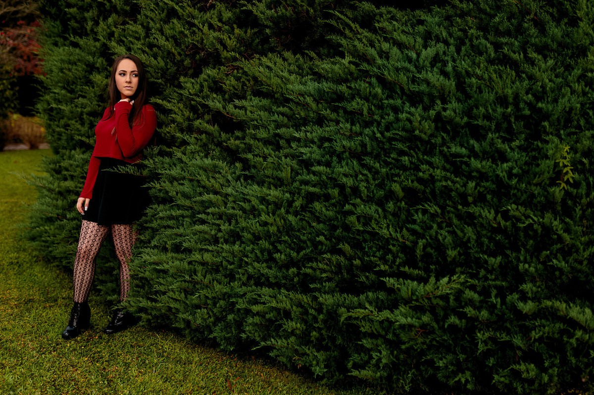 Book15Anos-CarolBendl