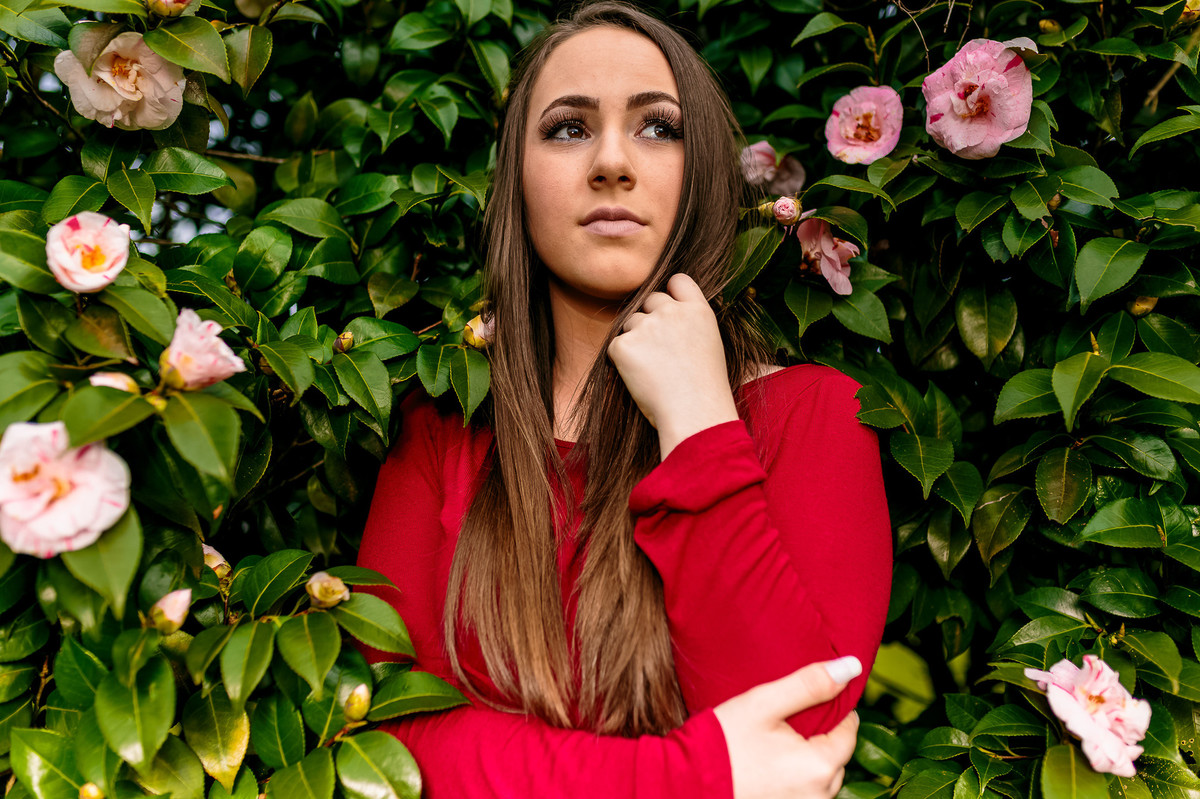 Book15Anos-CarolBendl