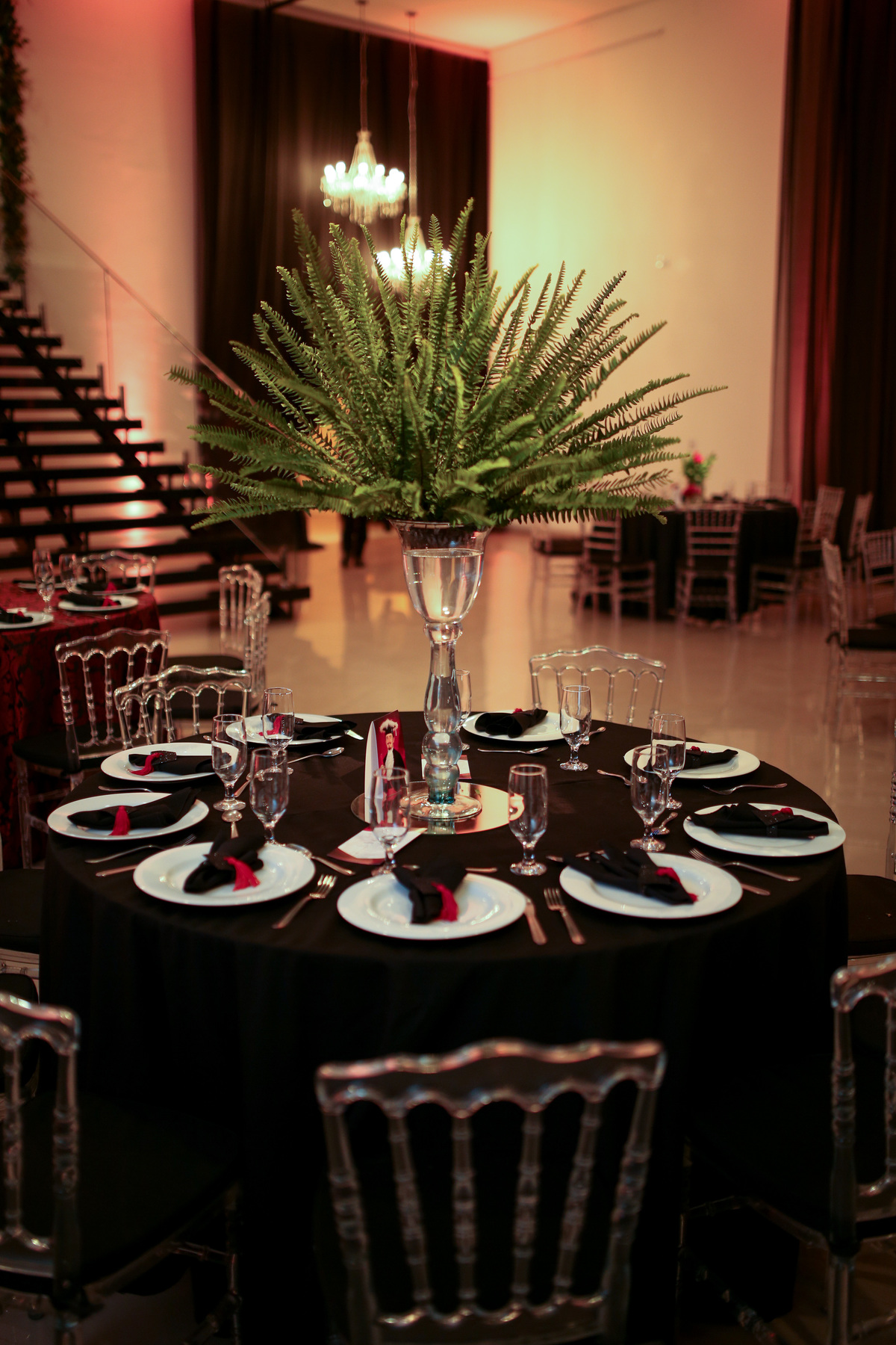 Formatura de Direito