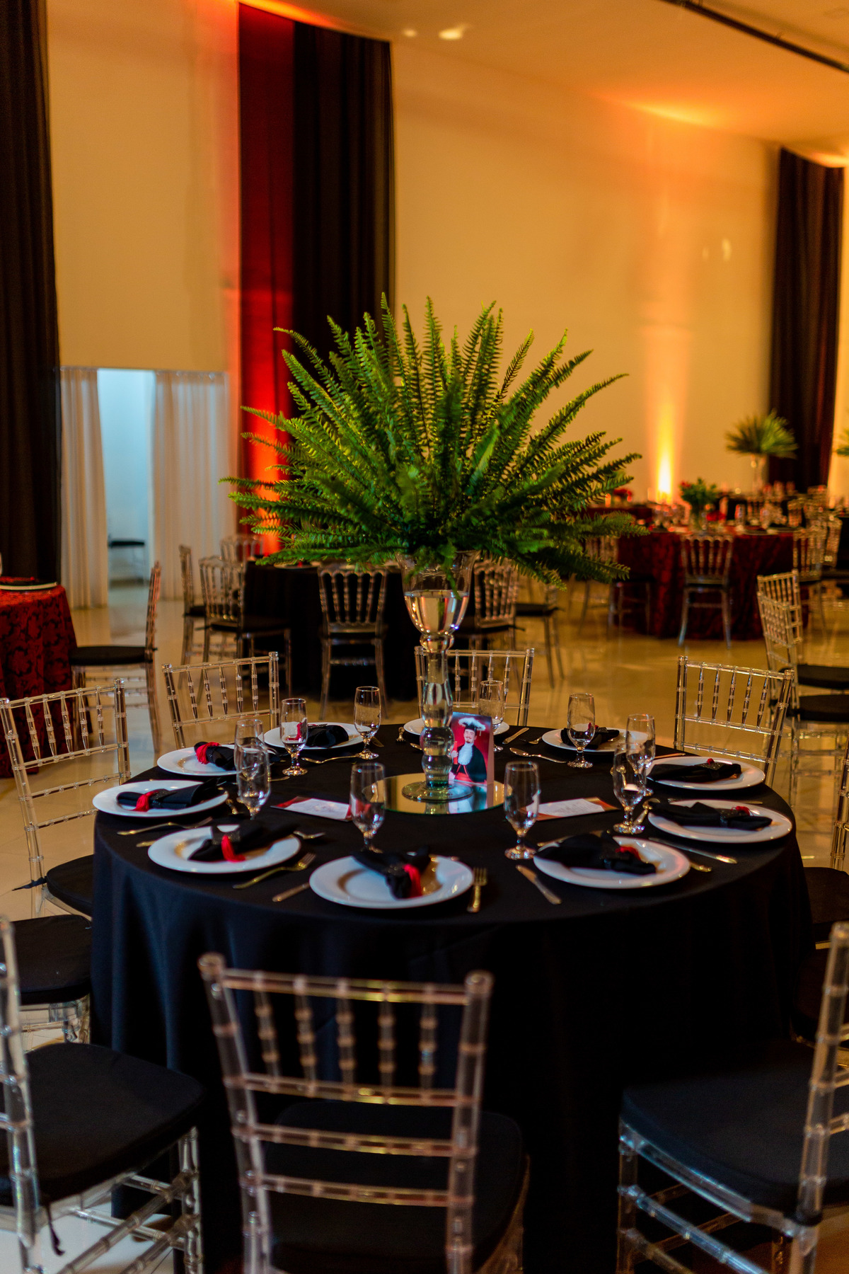 Formatura de Direito