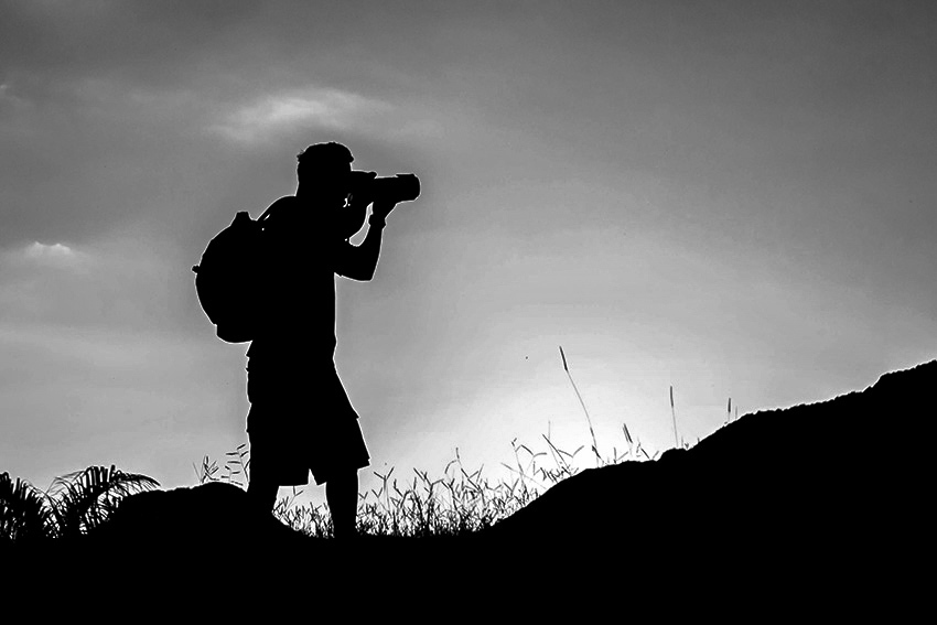 Sobre Dennis Calçada, fotógrafo de natureza | Fotógrafo de Santos SP