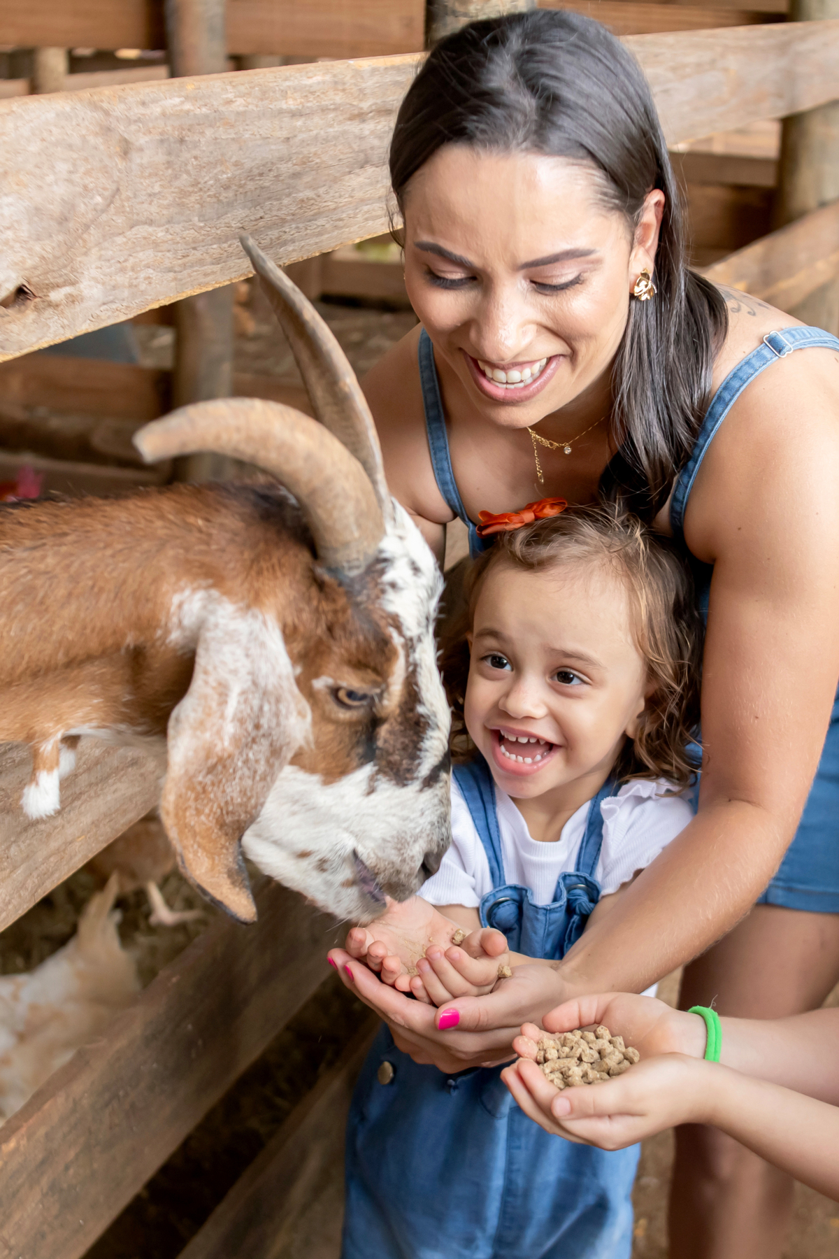 festa infantil em uberlandia
salao de festa em uberlandia
ensaio smash the cake uberlandia
fotografos uberlandia
ensaio infantil uberlandia 
studio fotografico araguari
ensaio fazendinha
smash the cake fazendinha
local para festa uberlandia
jkiuy