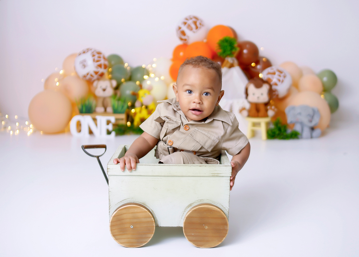 smash the cake uberlandia
ensaio de 1 aninho em uberlandia
book um aninho uberlandia
fotografos uberlandia
estudio fotografico em uberlandia
smash the cake safari
ensaio com bolo uberlandia
festa infantil uberlandia
salao de festas uberlandia
lfj