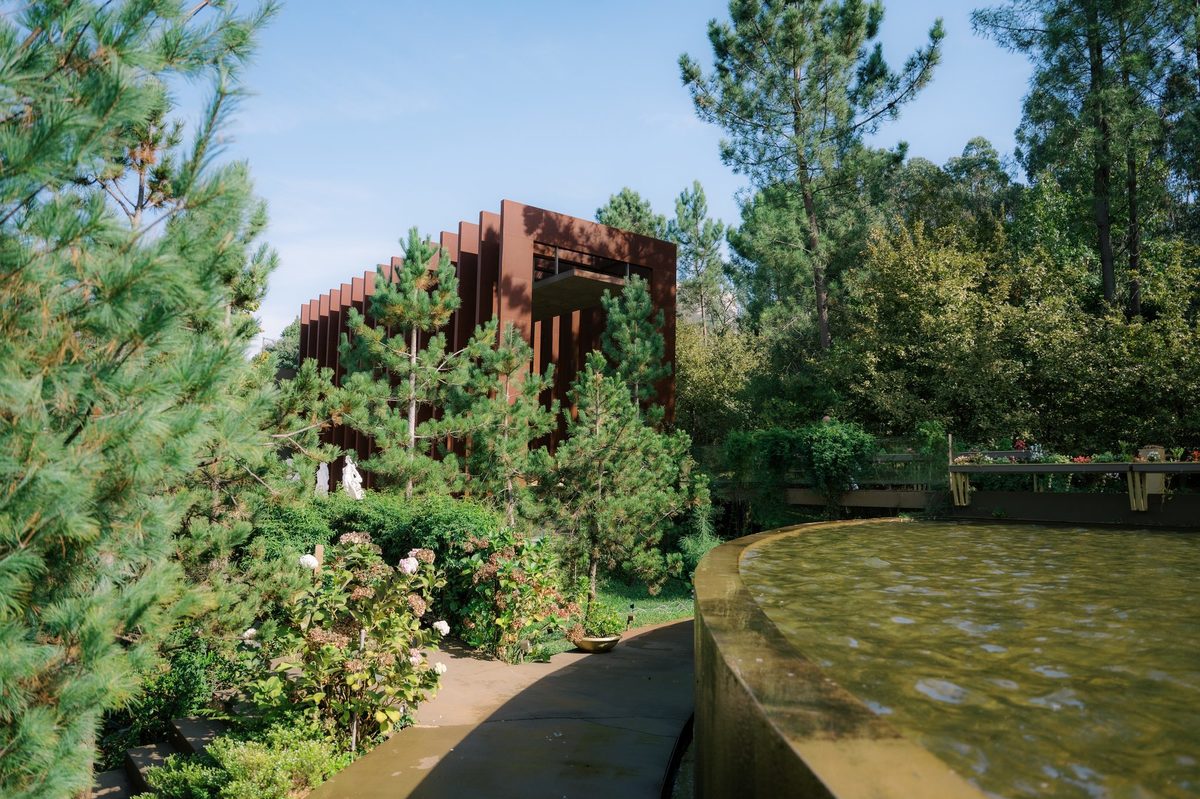 Lago e jardim com o edifício em aço corten ao fundo, entre pinheiros