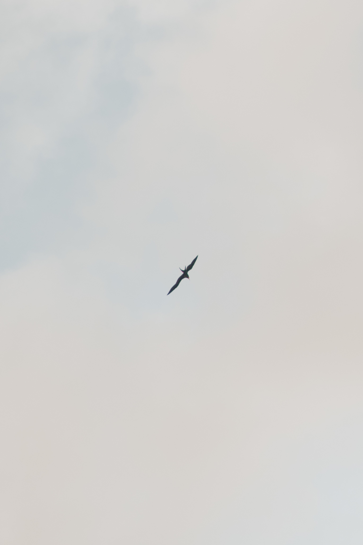 Ensaio pré wedding em Fernando de Noronha.