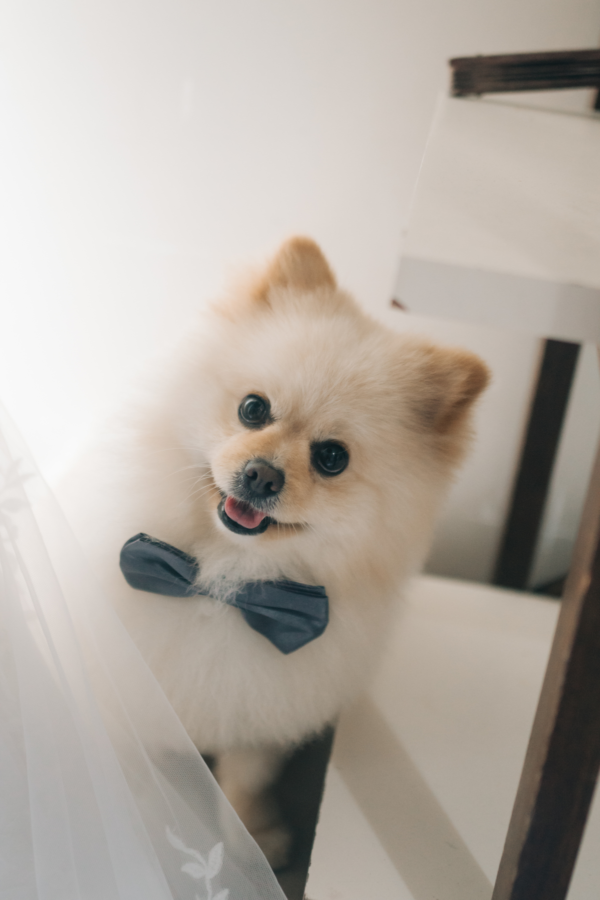 Casamento em Tamandaré.