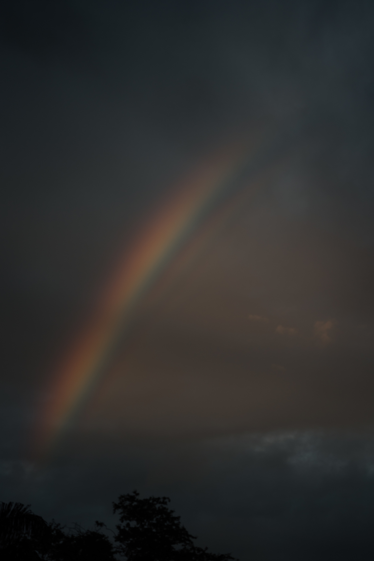 Ensaio pré wedding no por do sol.