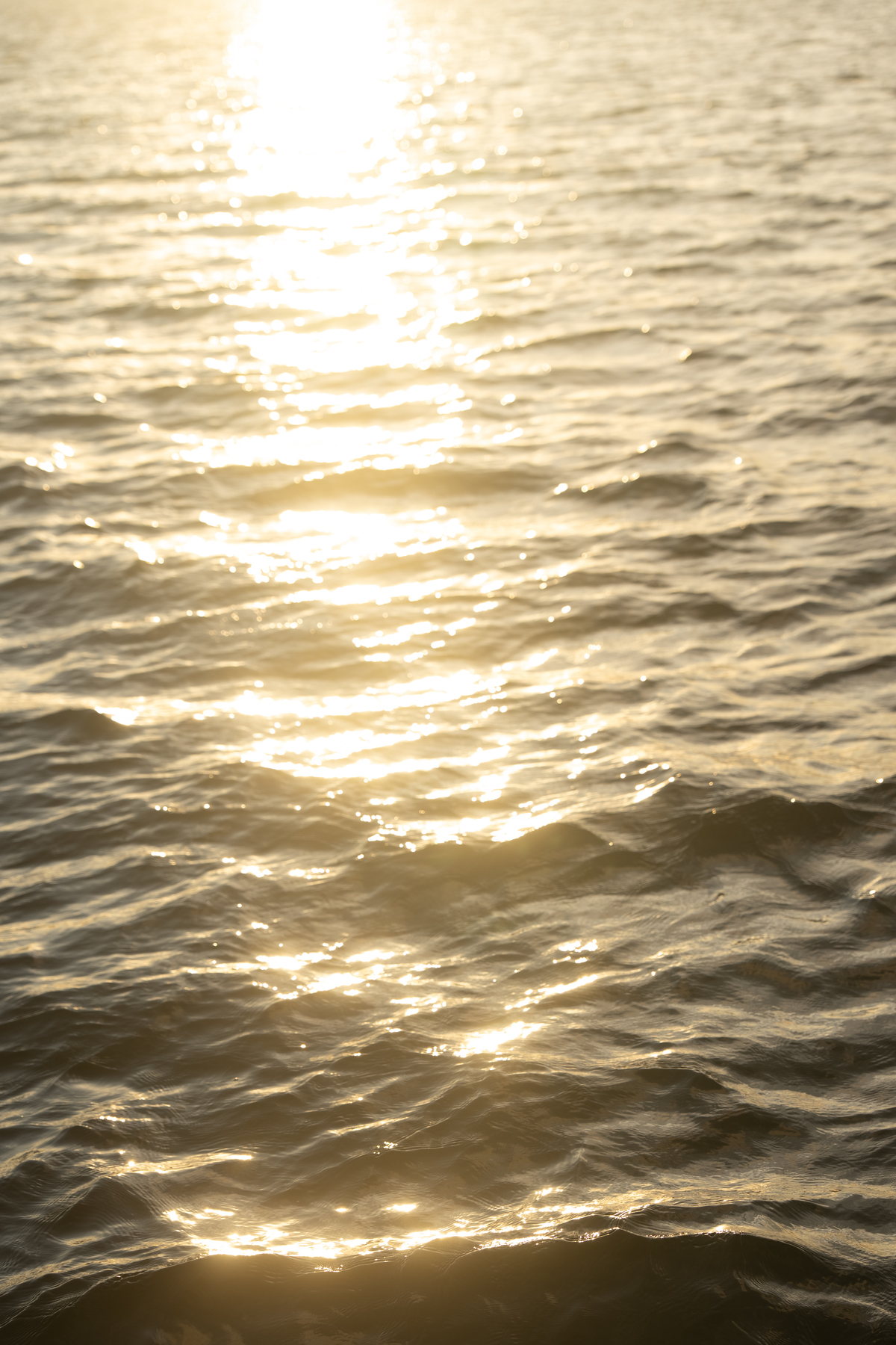 Festa no barco em Tamandaré.