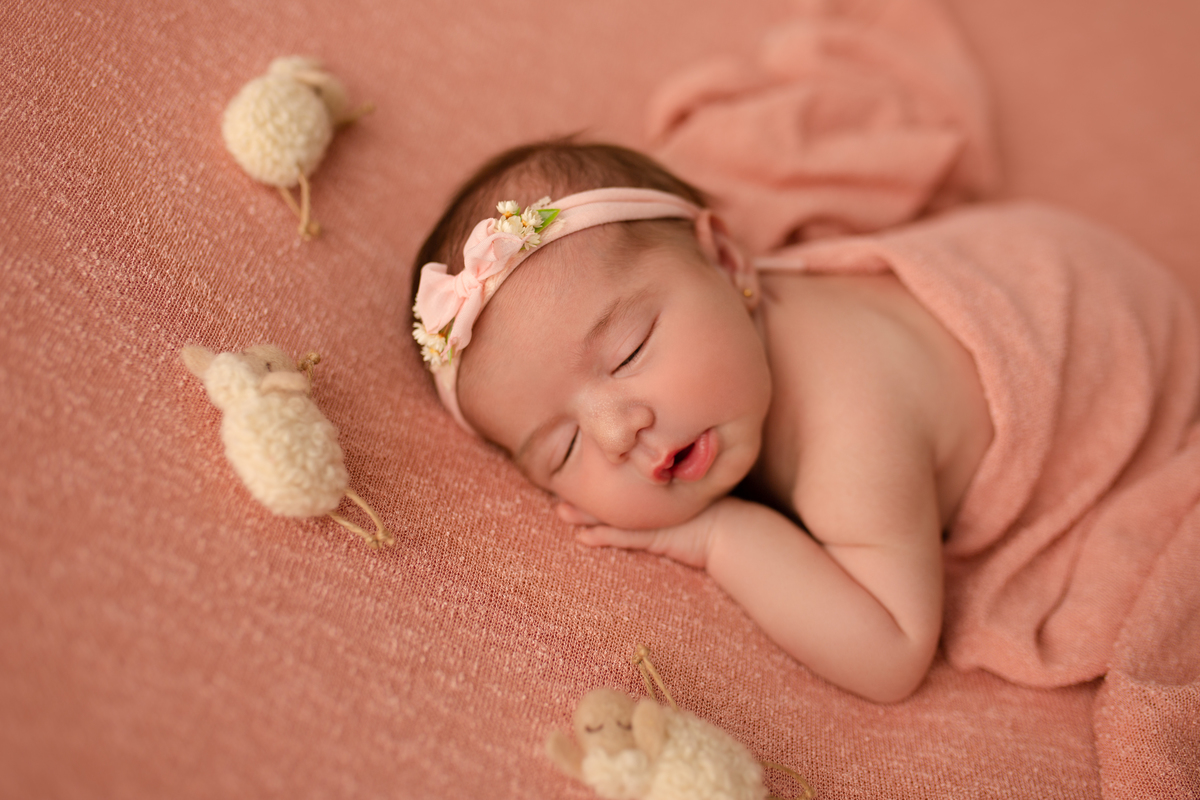 Ensaio Newborn, Ensaio Newborn Londrina, Ensaio Newborn Cambé, Ensaio Newborn Rolândia, Ensaio de bebê, Ensaio de Recém Nascido, ensaio newborn arapongas, ensaio newborn apucarana, ensaio de recem nascido cambé, ensaio de recem nascido londrina