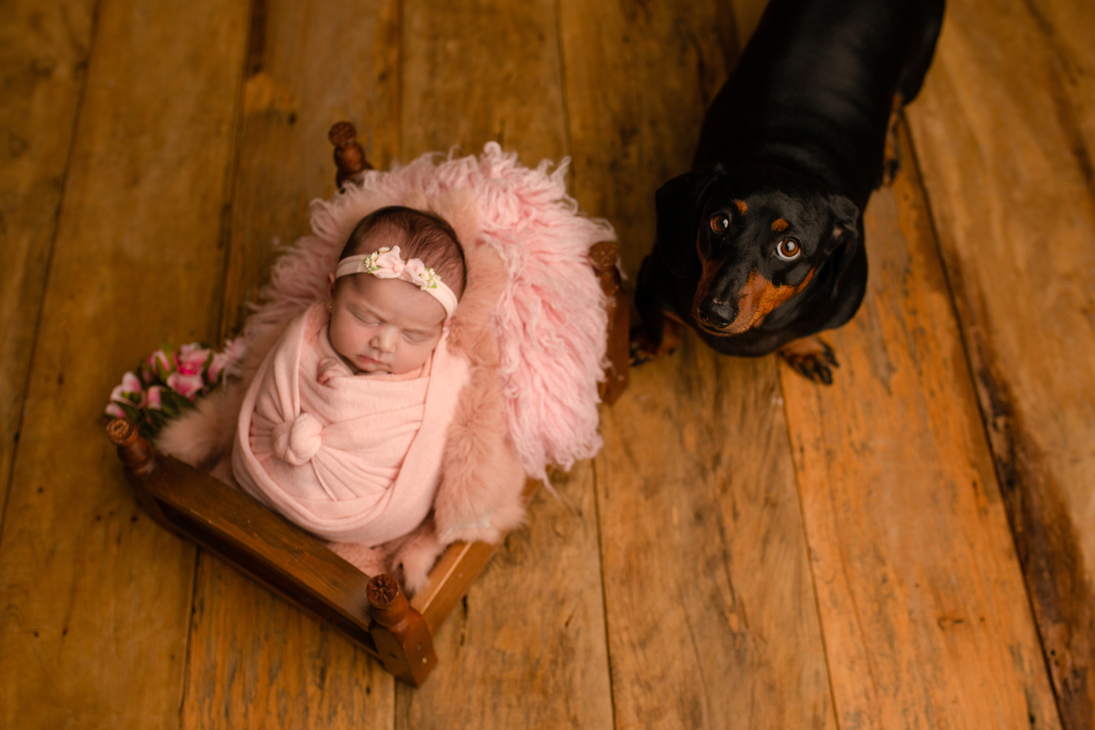 Ensaio Newborn, Ensaio Newborn Londrina, Ensaio Newborn Cambé, Ensaio Newborn Rolândia, Ensaio de bebê, Ensaio de Recém Nascido, ensaio newborn arapongas, ensaio newborn apucarana, ensaio de recem nascido cambé, ensaio de recem nascido londrina