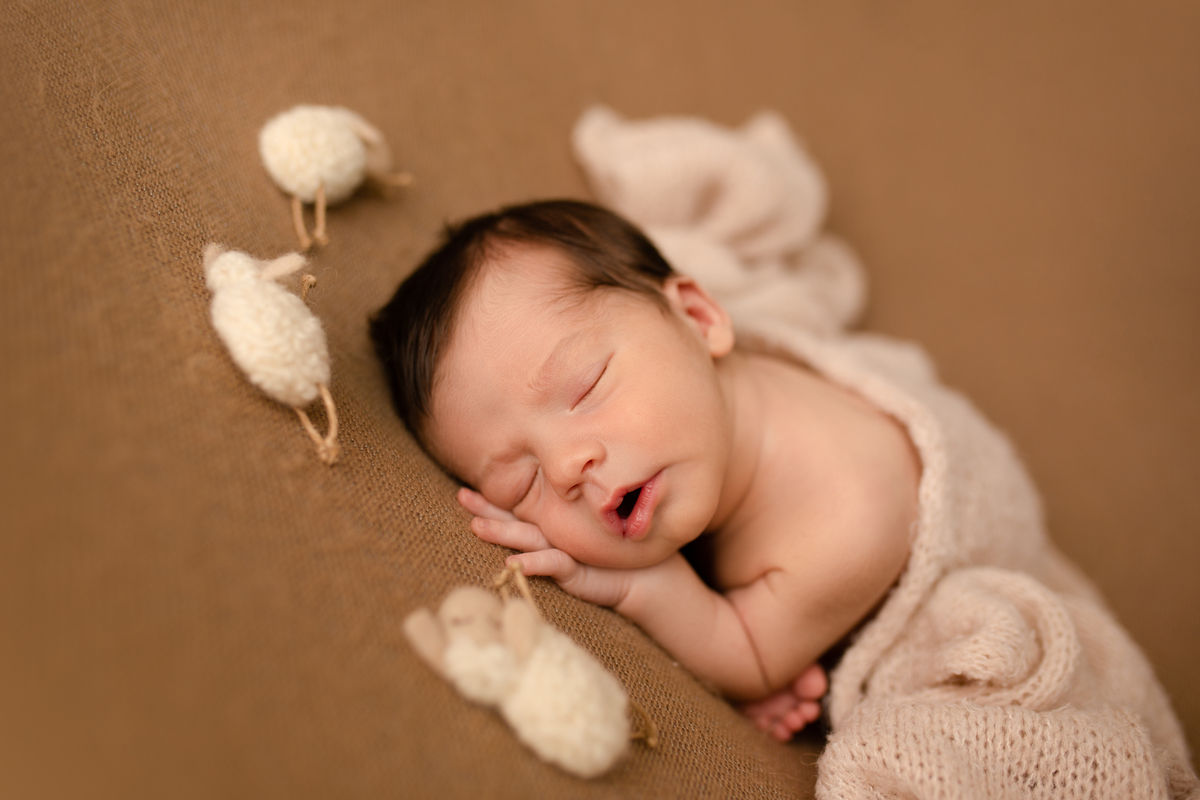 Ensaio Newborn, Ensaio Newborn Londrina, Ensaio Newborn Cambé, Ensaio Newborn Rolândia, Ensaio de bebê, Ensaio de Recém Nascido, ensaio newborn arapongas, ensaio newborn apucarana, ensaio de recem nascido cambé, ensaio de recem nascido londrina