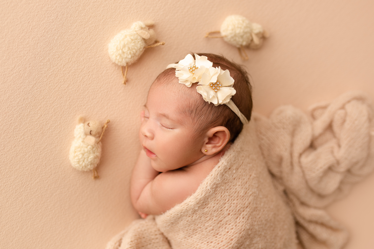 Ensaio Newborn, Ensaio Newborn Londrina, Ensaio Newborn Cambé, Ensaio Newborn Rolândia, Ensaio de bebê, Ensaio de Recém Nascido, ensaio newborn arapongas, ensaio newborn apucarana, ensaio de recem nascido cambé, ensaio de recem nascido londrina