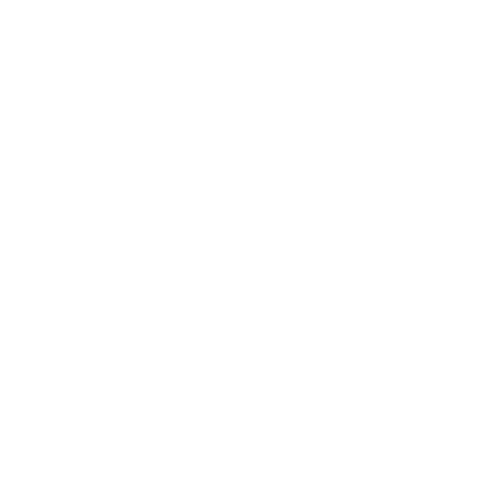 Logotipo de Cami Retratos de Amor