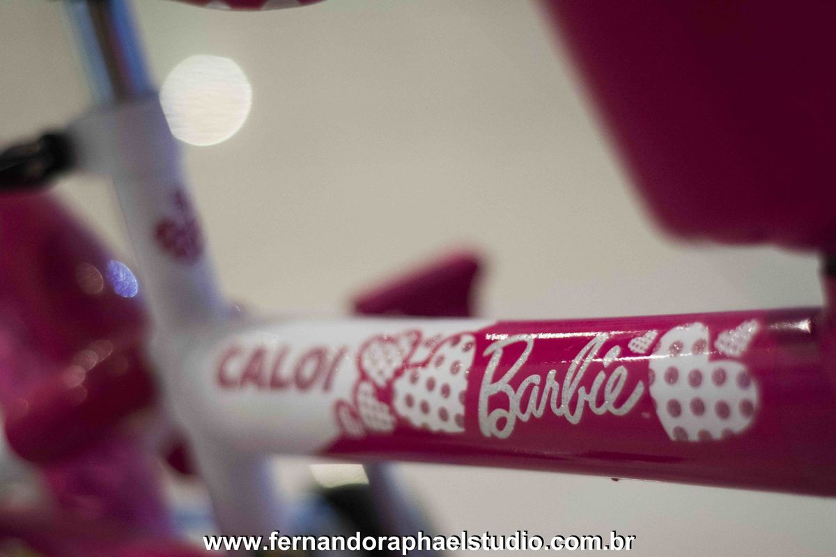 fabiana schreiner; fernando raphael; aniversario infantil; buffet les anis; classe a estudio; cup cake; estudio profissional; fernando raphael studio; fotografa fabiana schreiner; fotografia profissional; fotografo em recife; fotografo profissional; fotog