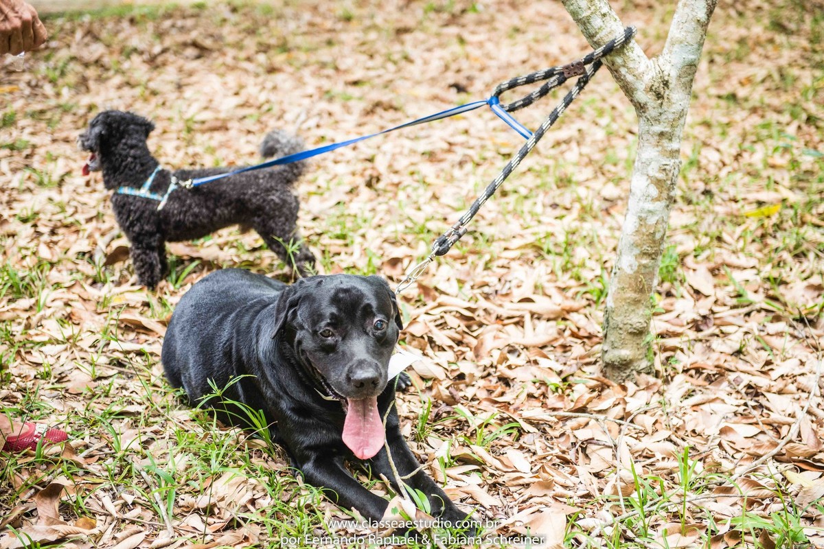 fotografos em recife