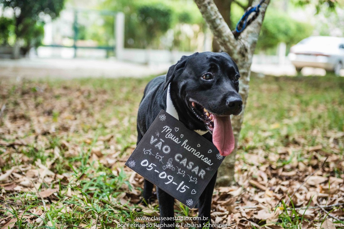 fotografos de recife
