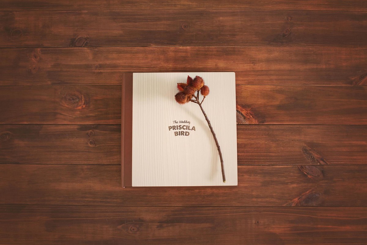 Álbuns fotográficos belos