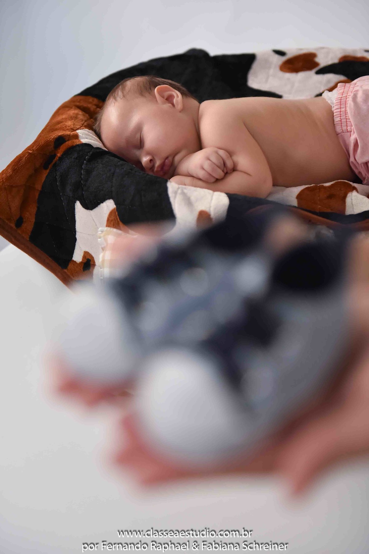 book fotografico de recém nascido