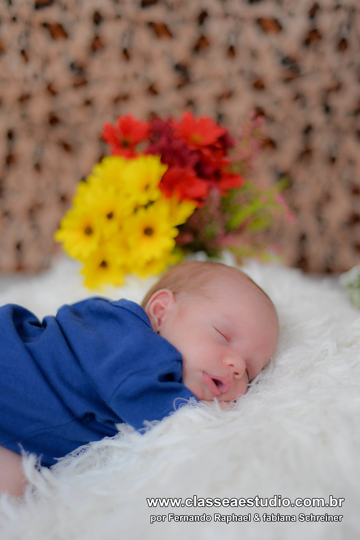 book fotografico de newborn em recife