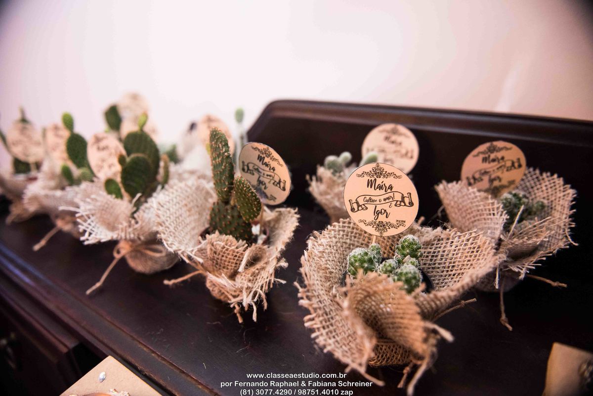 fotografos em recife