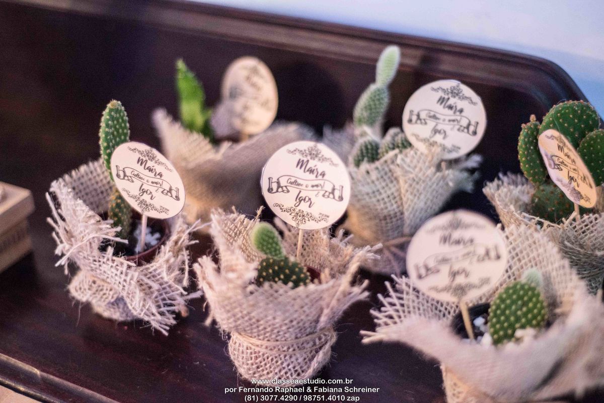 fotografos em recife