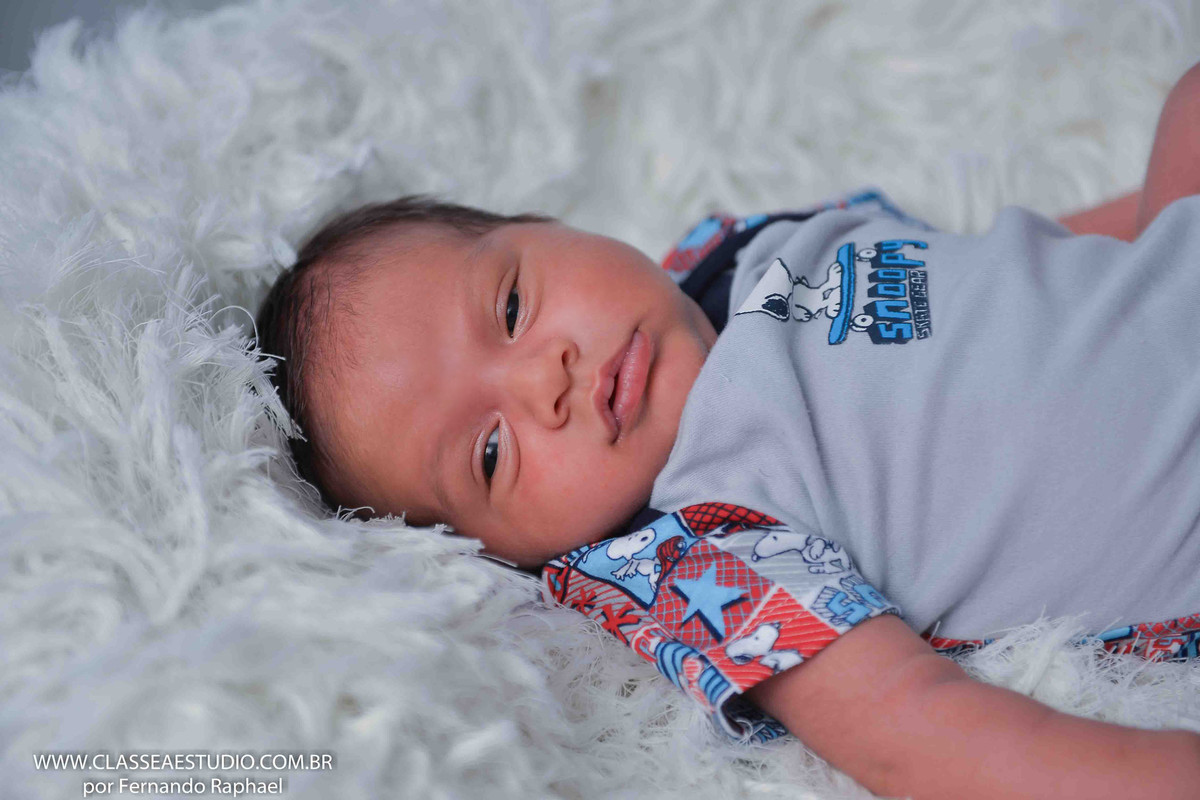 book fotografico de recém nascido