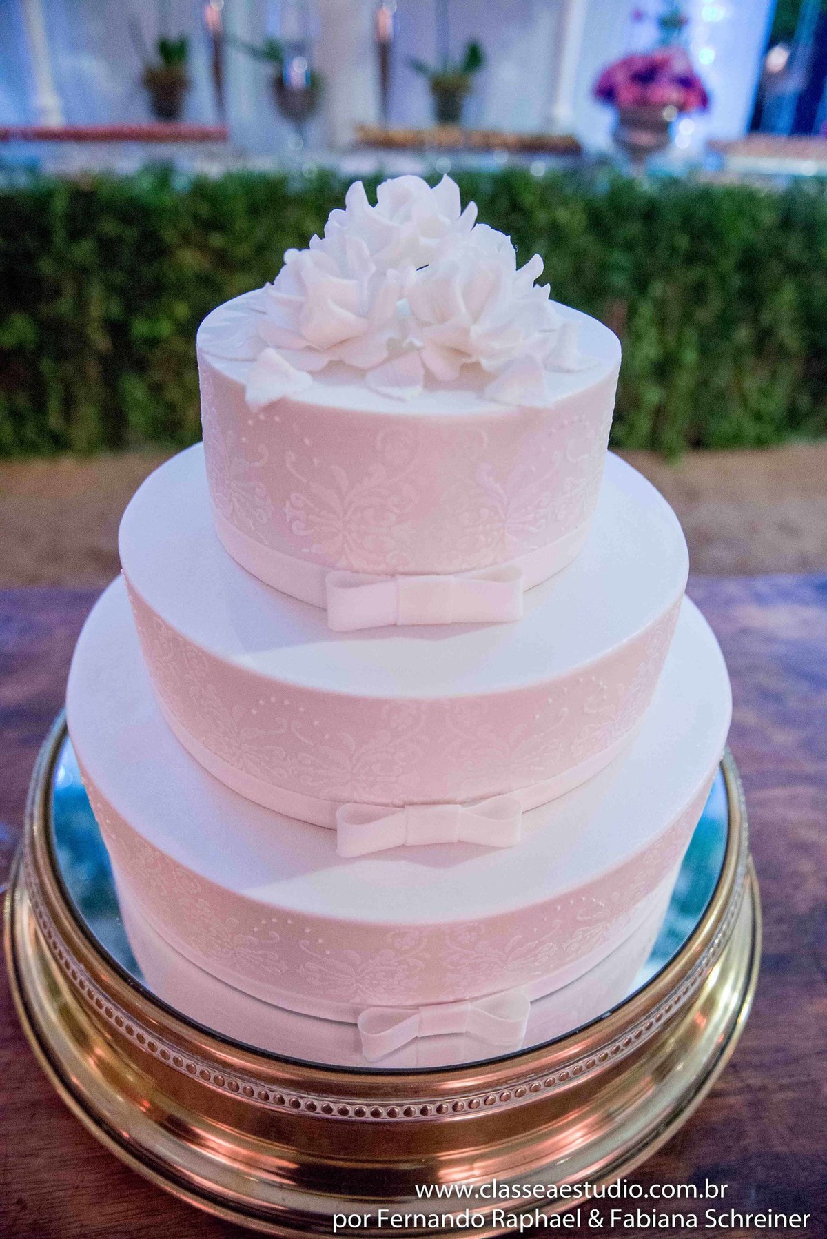 fotografos em recife