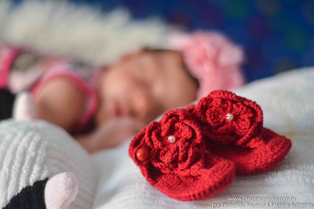 book fotografico de recém nascido