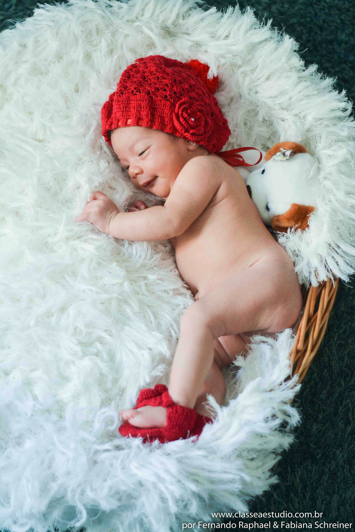 book fotografico de bebê