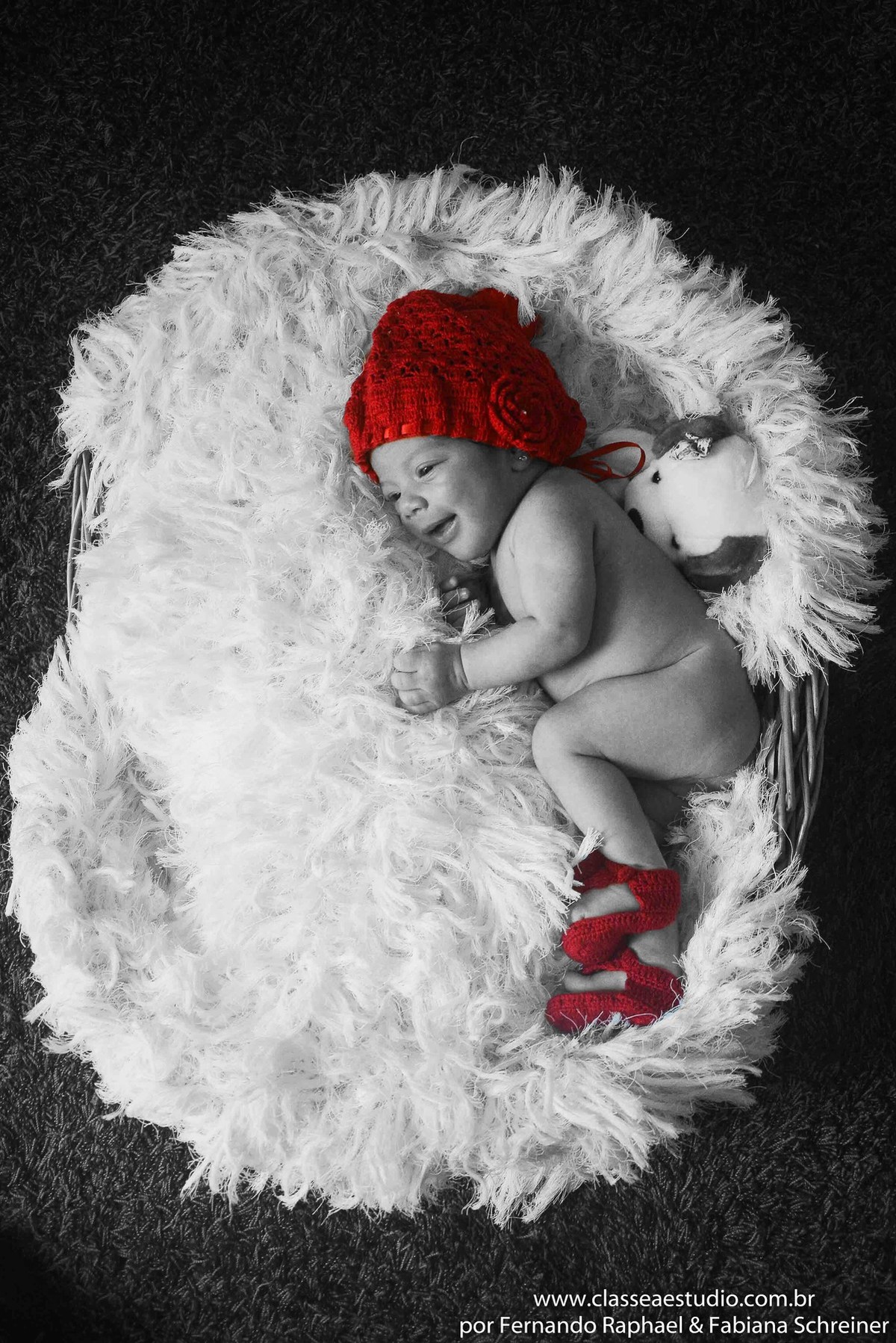 fotografos de recém nascido