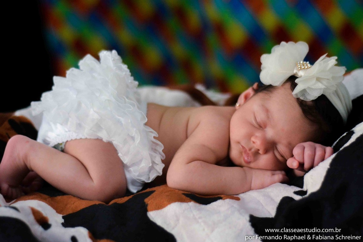 book fotografico de recém nascido