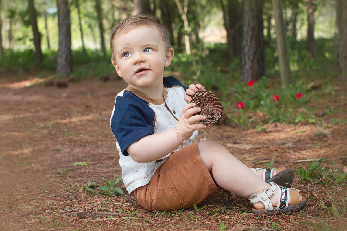 Smash the fruit do Davi