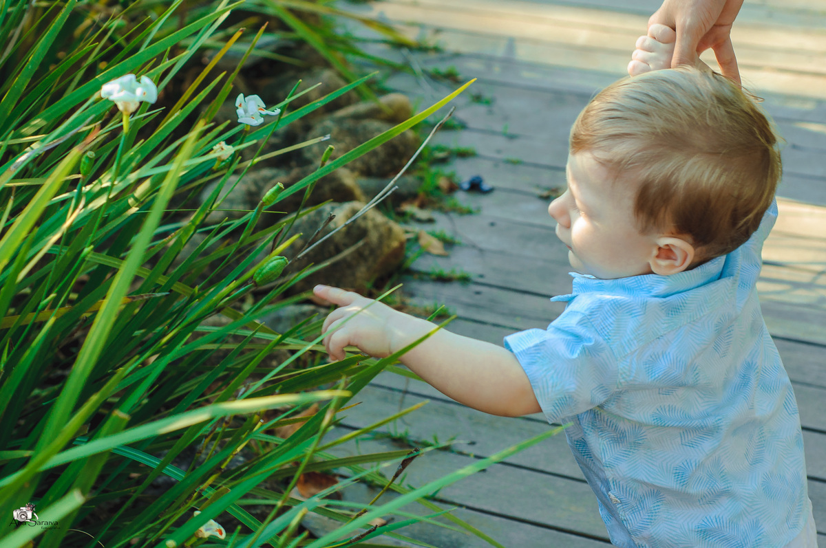 Fotografia infantil  - Vitória /ES
laddus.com.br