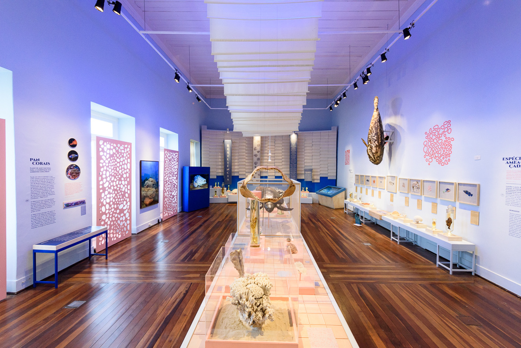 Coral Vivo, Museu Nacional, Rio de Janeiro