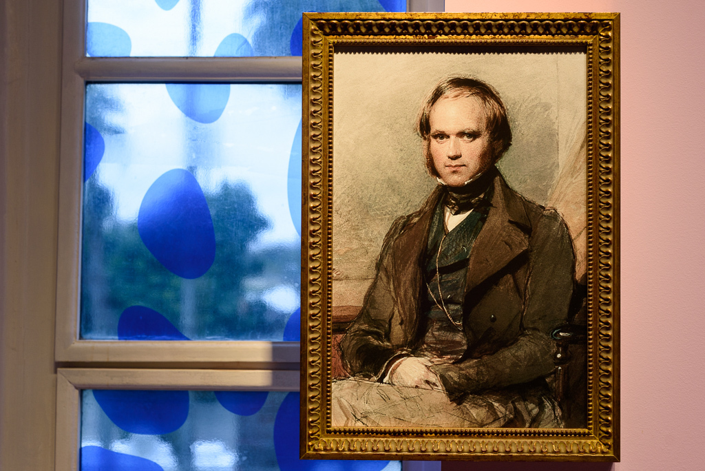 Mostra Darwin, Museu do Jardim Botânico, Rio de Janeiro