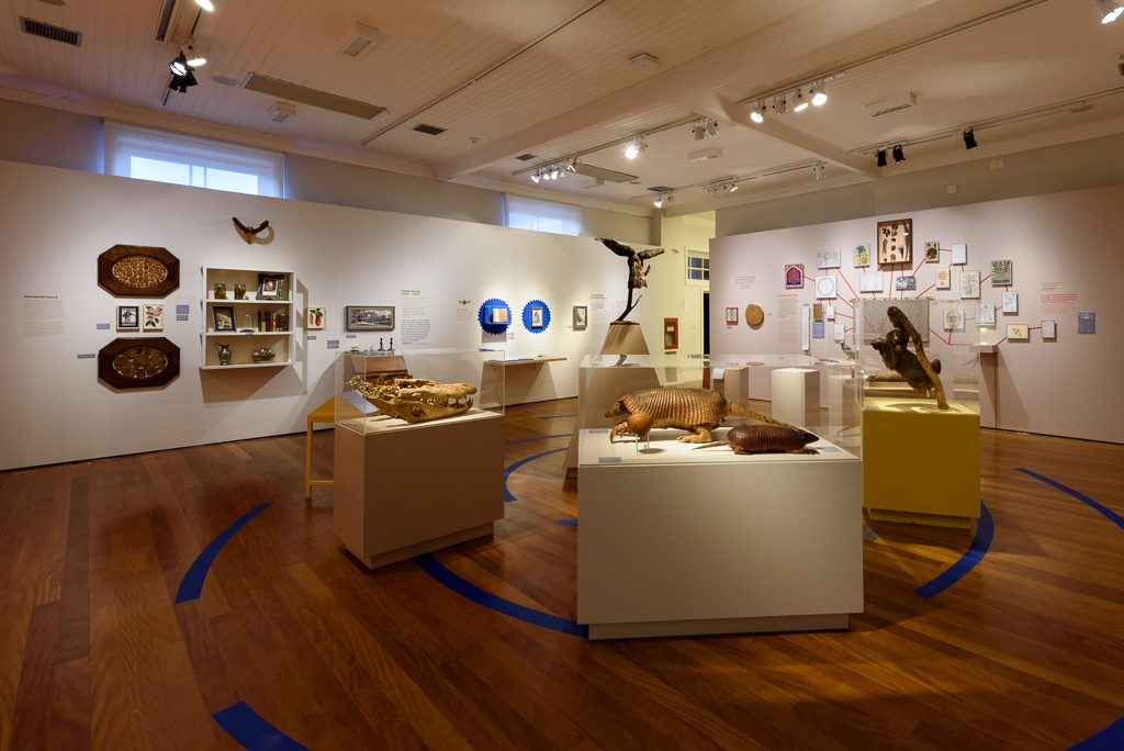 Mostra Darwin, Museu do Jardim Botânico, Rio de Janeiro