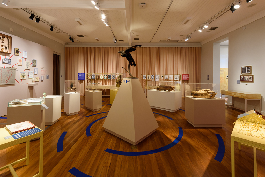 Mostra Darwin, Museu do Jardim Botânico, Rio de Janeiro