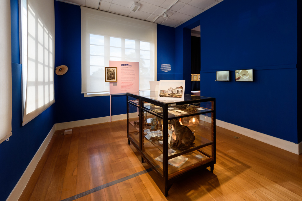 Mostra Darwin, Museu do Jardim Botânico, Rio de Janeiro