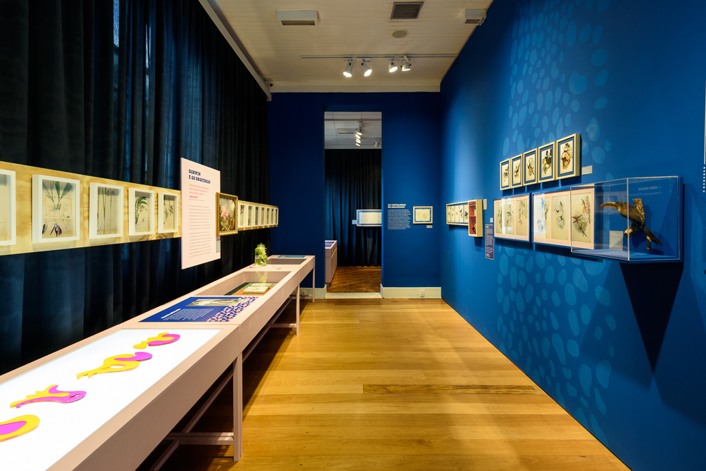 Mostra Darwin, Museu do Jardim Botânico, Rio de Janeiro