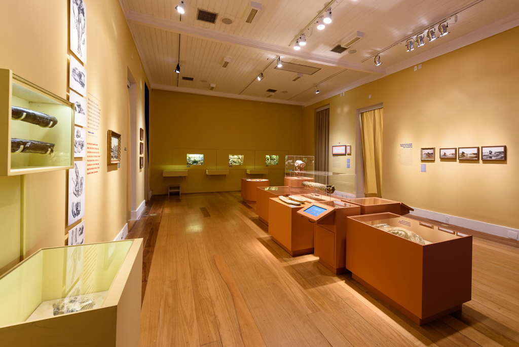 Mostra Darwin, Museu do Jardim Botânico, Rio de Janeiro