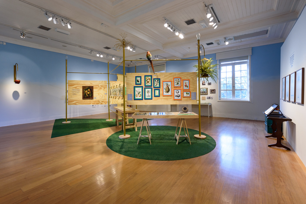 Mostra Darwin, Museu do Jardim Botânico, Rio de Janeiro