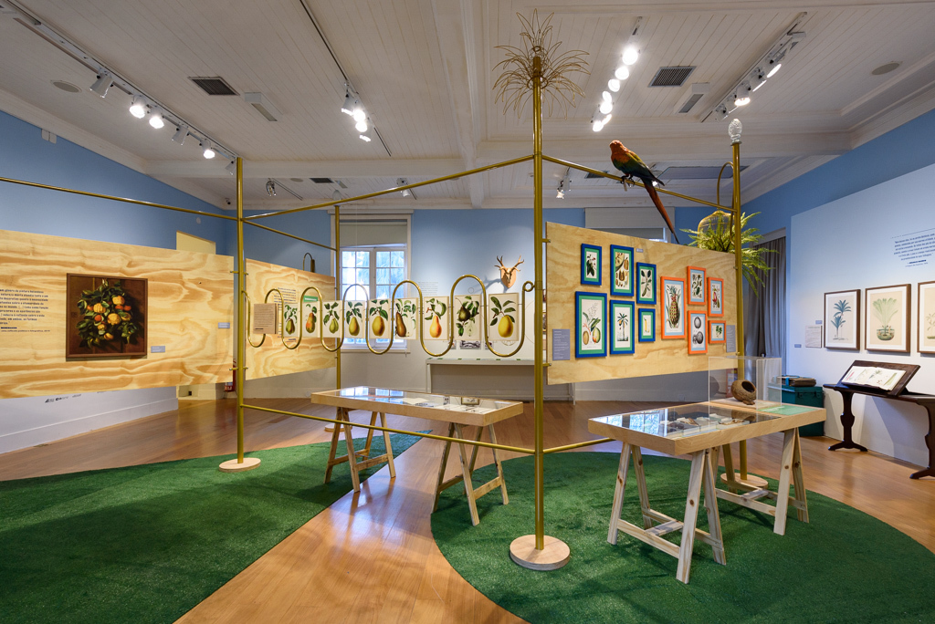 Mostra Darwin, Museu do Jardim Botânico, Rio de Janeiro
